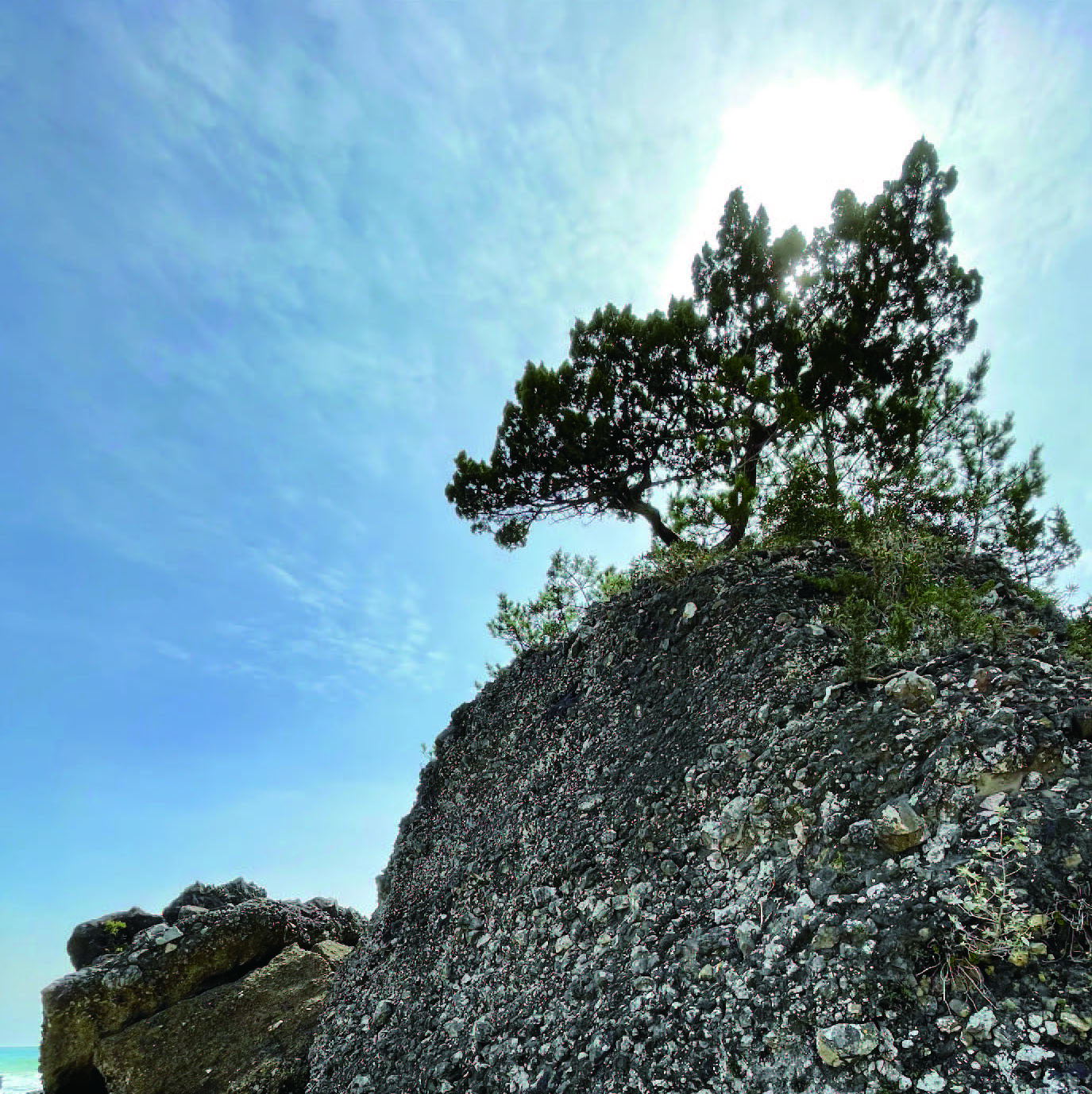 2023あけましておめでとうございます 写真