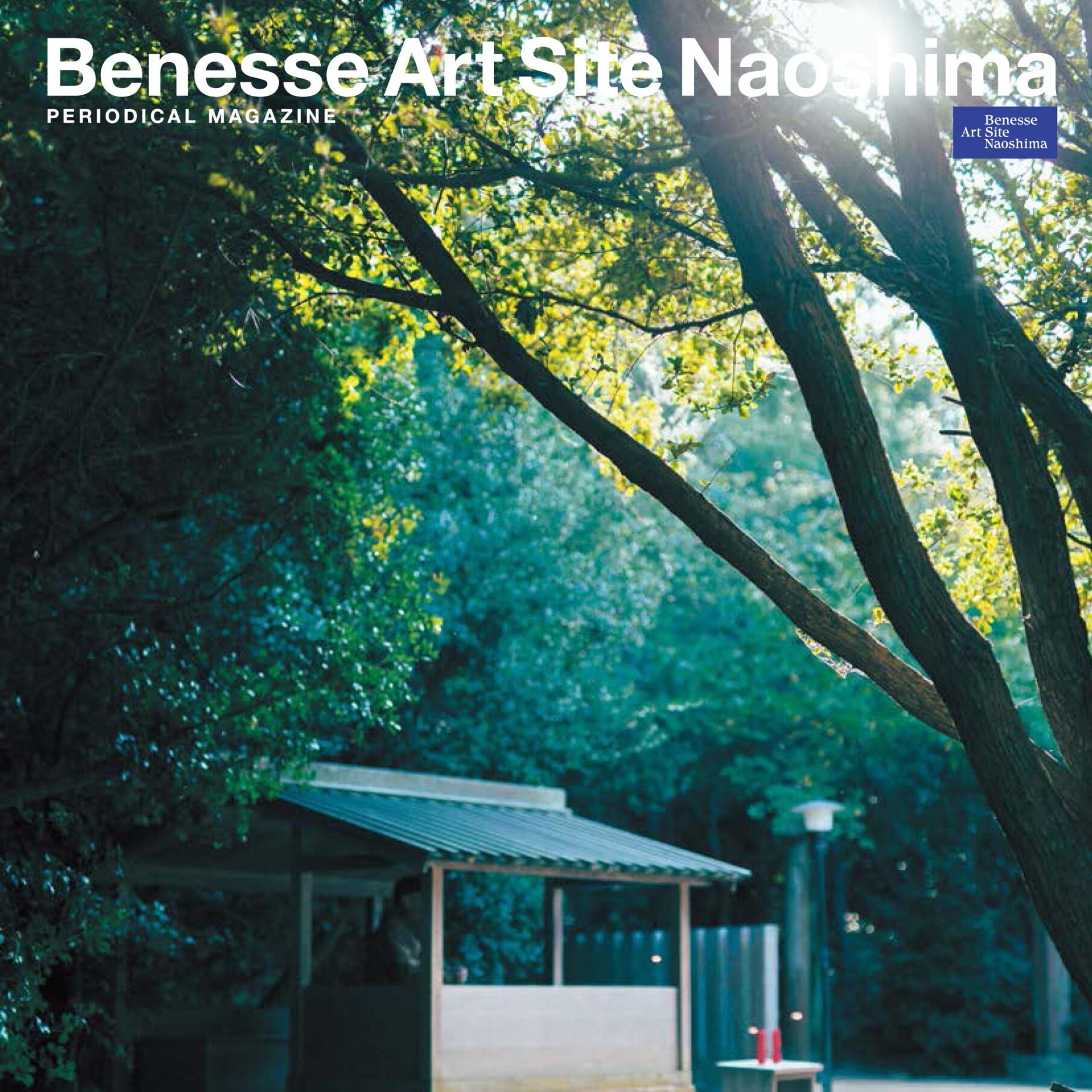 ベネッセアートサイト広報誌に寄稿しました 写真