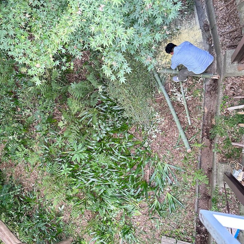 自然再生士の資格を取得しました 写真