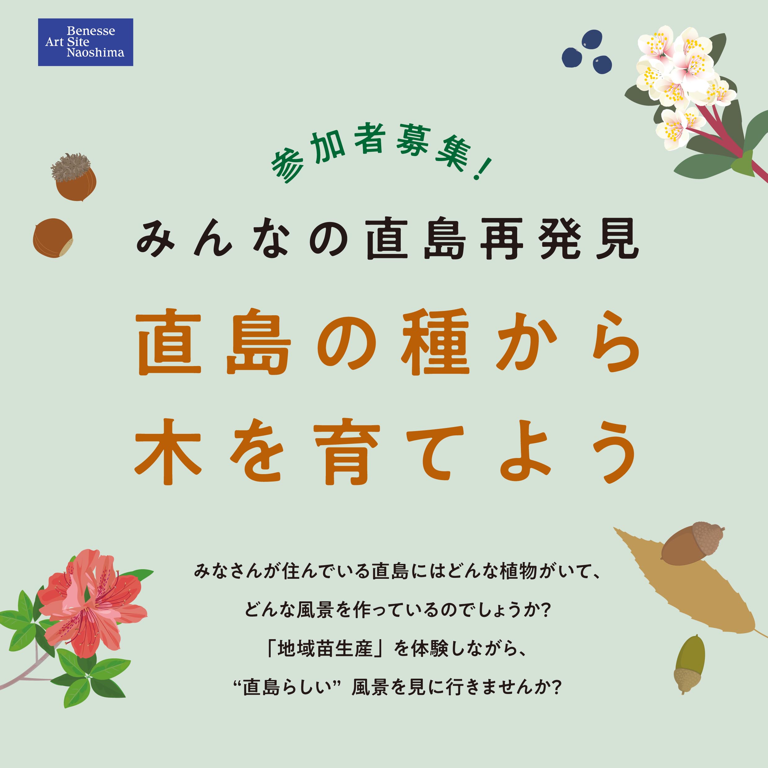 直島の種から木を育てよう2023 写真